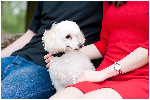 Hampstead heath love shoot! Engagement Shoot Ideas