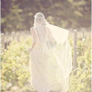 The Blush Collection: Vintage Inspired Bridal Headpieces