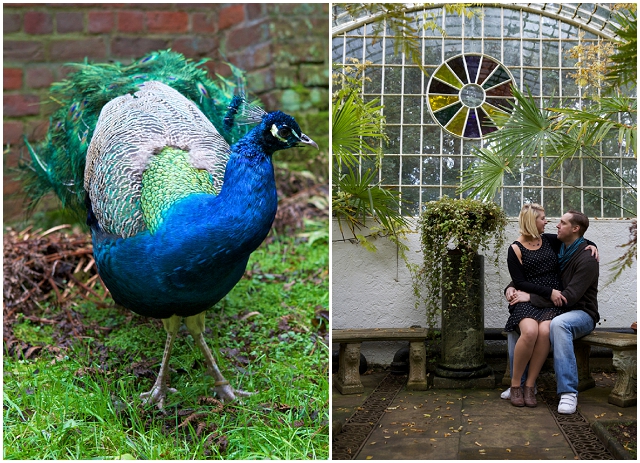 Peacock Blue & Green: Engagement | Love Shoot