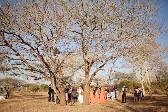 Swart Wedding FIONA CLAIR PHOTOGRAPHY-257