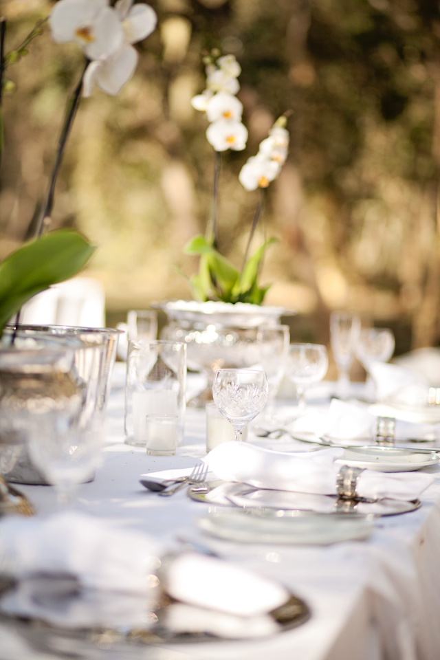 Swart Wedding FIONA CLAIR PHOTOGRAPHY-89