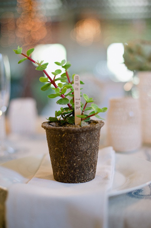 Eco­-friendly Wedding Tips | Five ideas to make your wedding more green