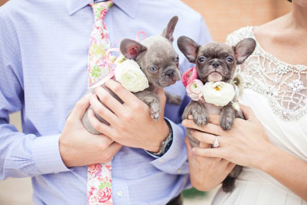 15 cute ways to get your dog wedding ready | doggie aisle style!