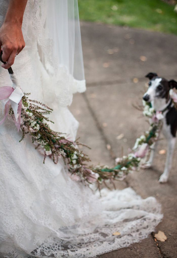 15 cute ways to get your dog wedding ready | doggie aisle style!