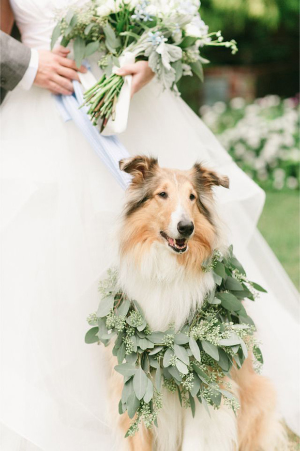 wedding dog wreath