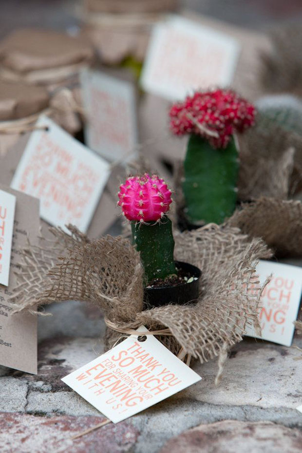 cactus wedding favour idea
