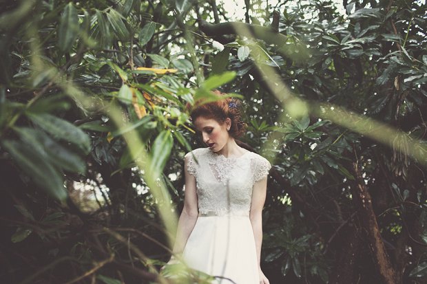 Wilderness Bride 2015 Wedding Dresses The Dearest Collection_0017