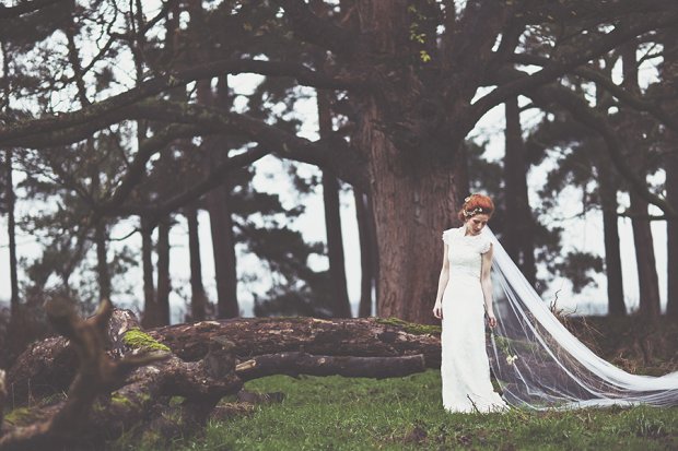 Wilderness Bride 2015 Wedding Dresses The Dearest Collection_0032