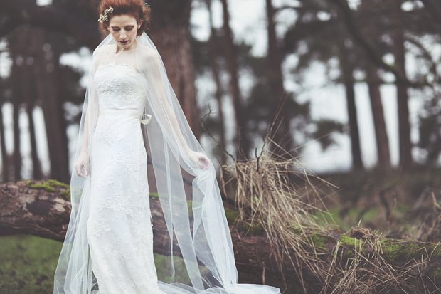 Wilderness Bride 2015 Wedding Dresses: The Dearest Collection