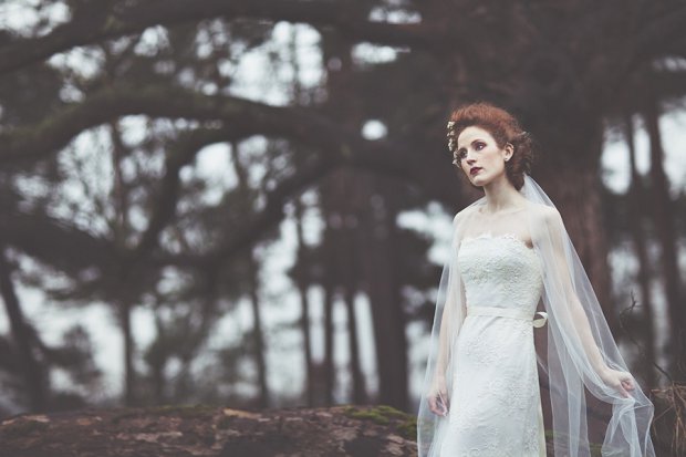 Wilderness Bride 2015 Wedding Dresses The Dearest Collection_0036