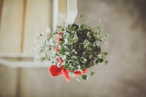 Pretty Peach & Mint! An Elegantly Rustic Wedding With A Wolf Monogram: Ryan & Kerran