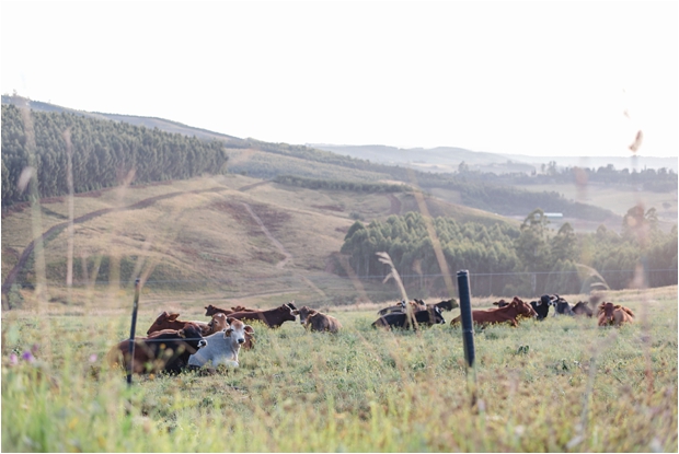 Natalie & Tweek Roodt - Kate Martens Photography_0003