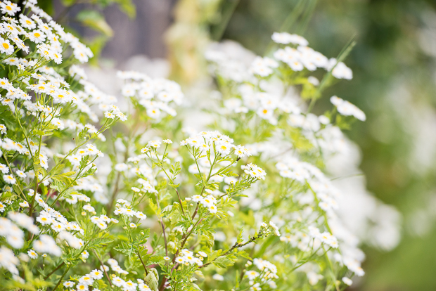 An Elegant 1920s inspired White Wedding With Gypsophilia Details: Jodie & Tom