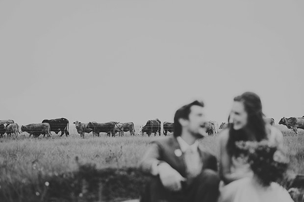 Rural Farm Wedding With Crisp White Accents & Stunning Protea: Jana & Conrad