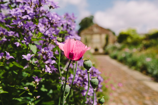 Pretty, Relaxed Rockley Manor Wedding With Muted Wild Flower Florals: Errol & Emma