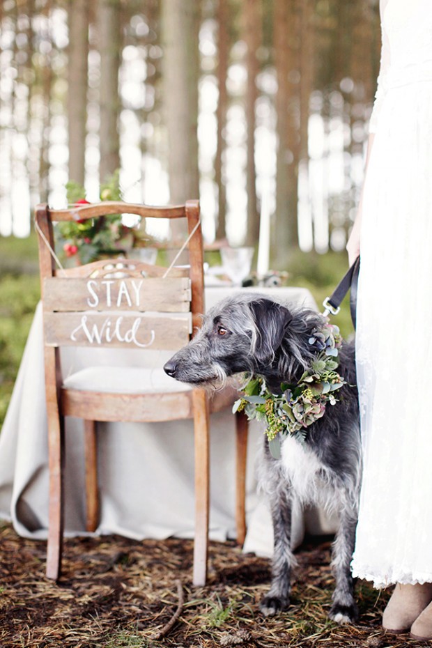 Wild Woodland! An Autumnal Inspired Bridal Shoot