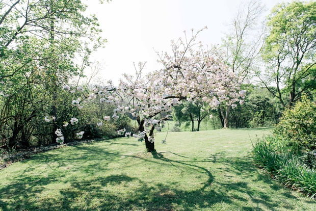 Dreamy Pink Blush & Marsala Wedding In Cherry Blossom Orchard: Lana & Herman