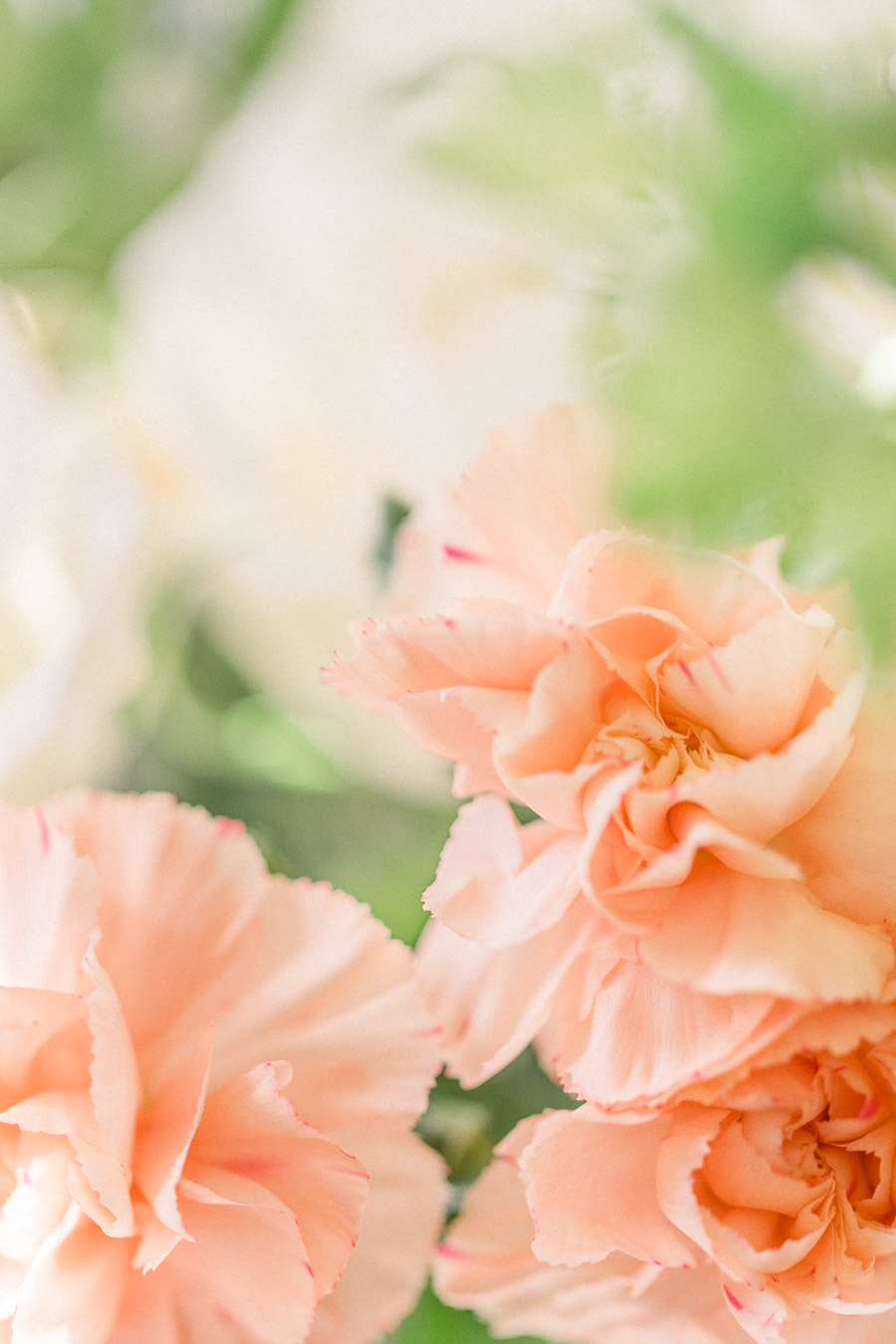 Shades of Wuthering Heights: Boho Bridal Editorial at the Chesterton Windmill