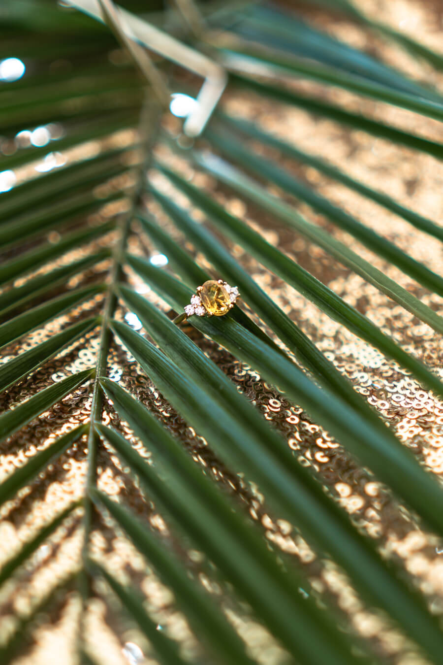 Mid-Summer Tropics: An Outdoor, California Inspired Wedding Shoot